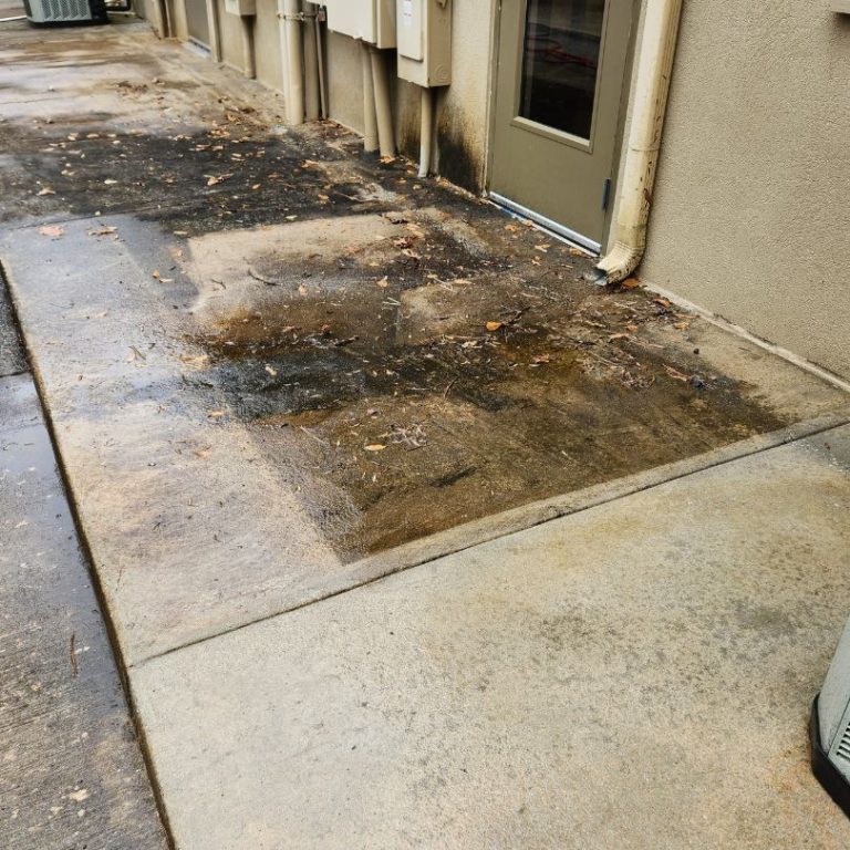 Sidewalks Before Real Results